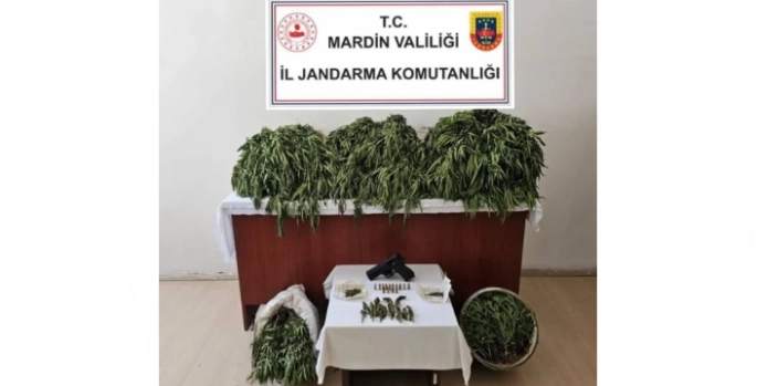 Jandarma’dan Nusaybin’de Uyuşturucu Üreticilerine Operasyon