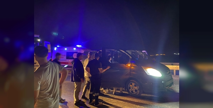 Nusaybin'de yol levhasına çarpan hafif ticari araçta 2 kişi yaralandı